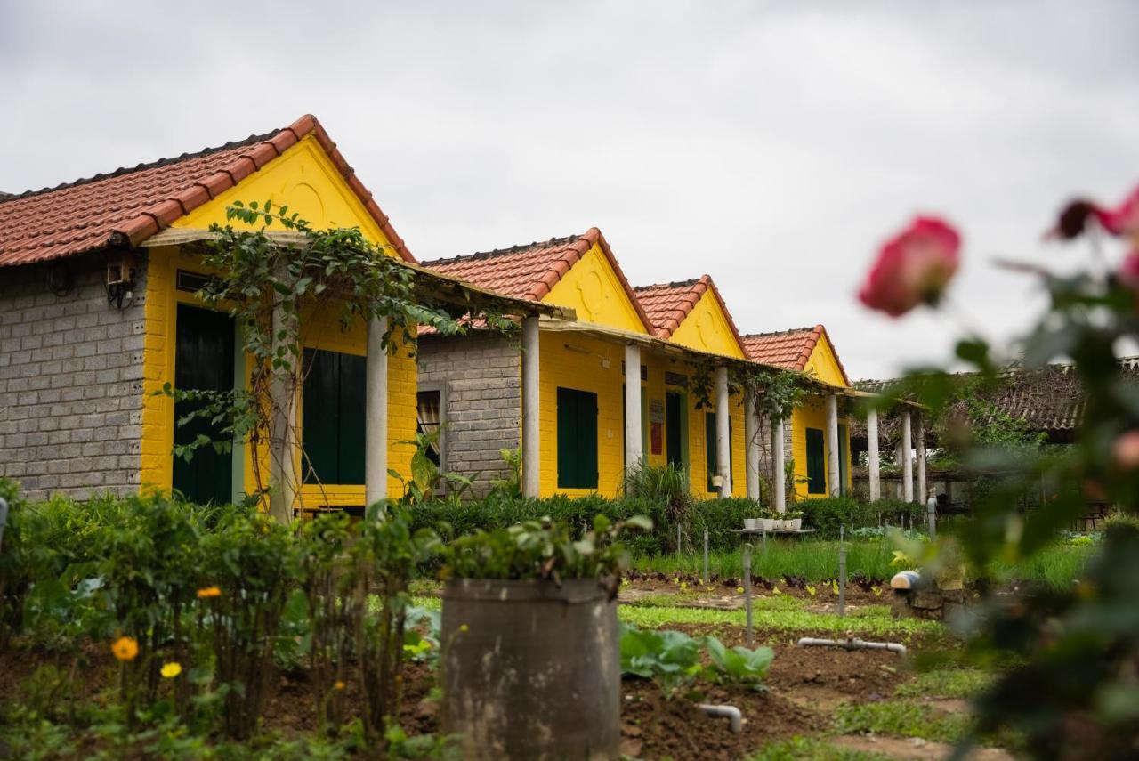 Greenfield Ecostay Фонг Нха Екстериор снимка